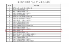 专精特新“小巨人”企业名单公示，美巢再获国家级与省市级荣誉称号！