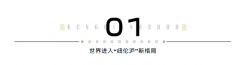 纽伦沪的新样本，为什么都盯上了这个内环滨江“双子楼”?