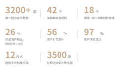蜜蜂科技BEEPLUS企业服务数量激增，揭秘其背后的成功之道